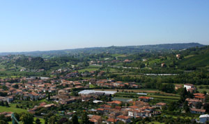 Colli